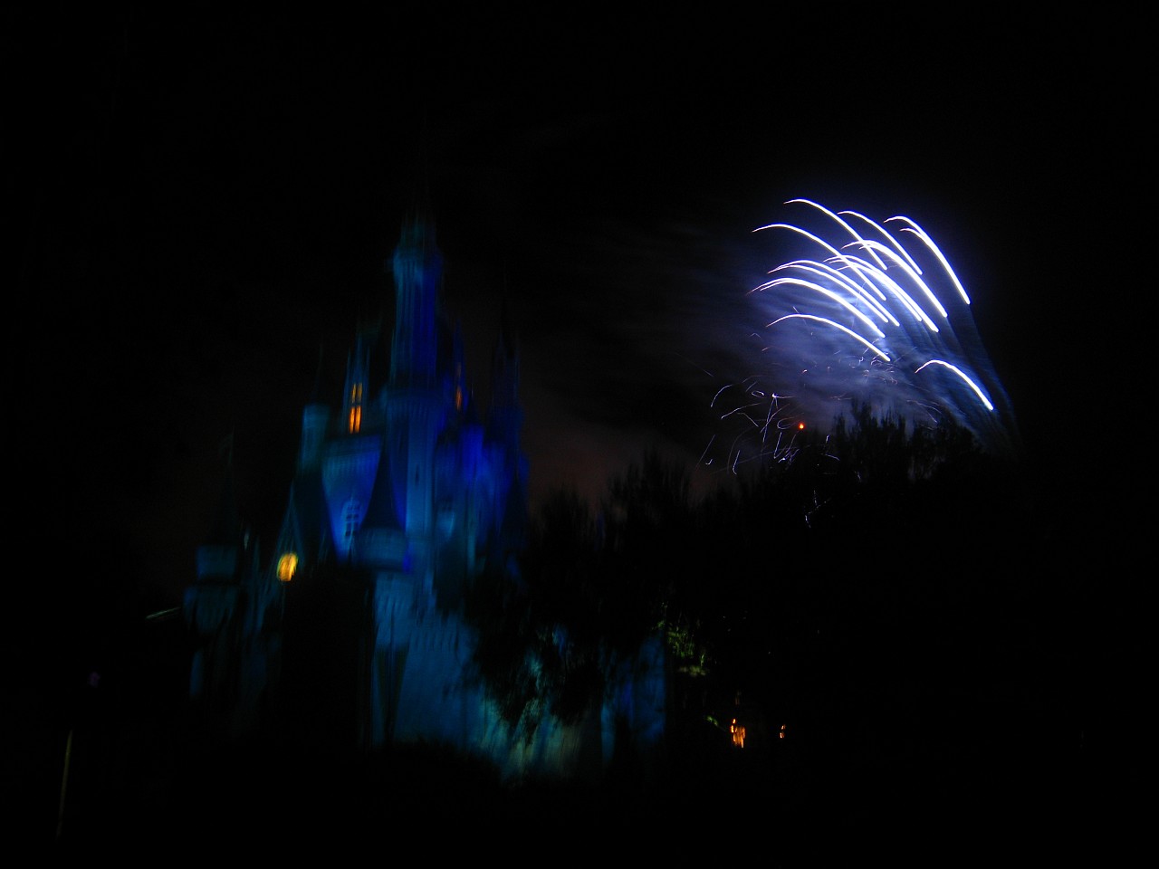 Vacation 2007-12 - Disney Parks  0985.jpg - The 2007-08 vacation to Florida included Disney World. We visited some of the larger theme Resorts along with Animal Kingdom and Disney Hollywood Studios.